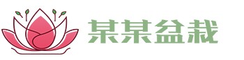 19体育网(官方)APP下载安装IOS/登录入口/手机app